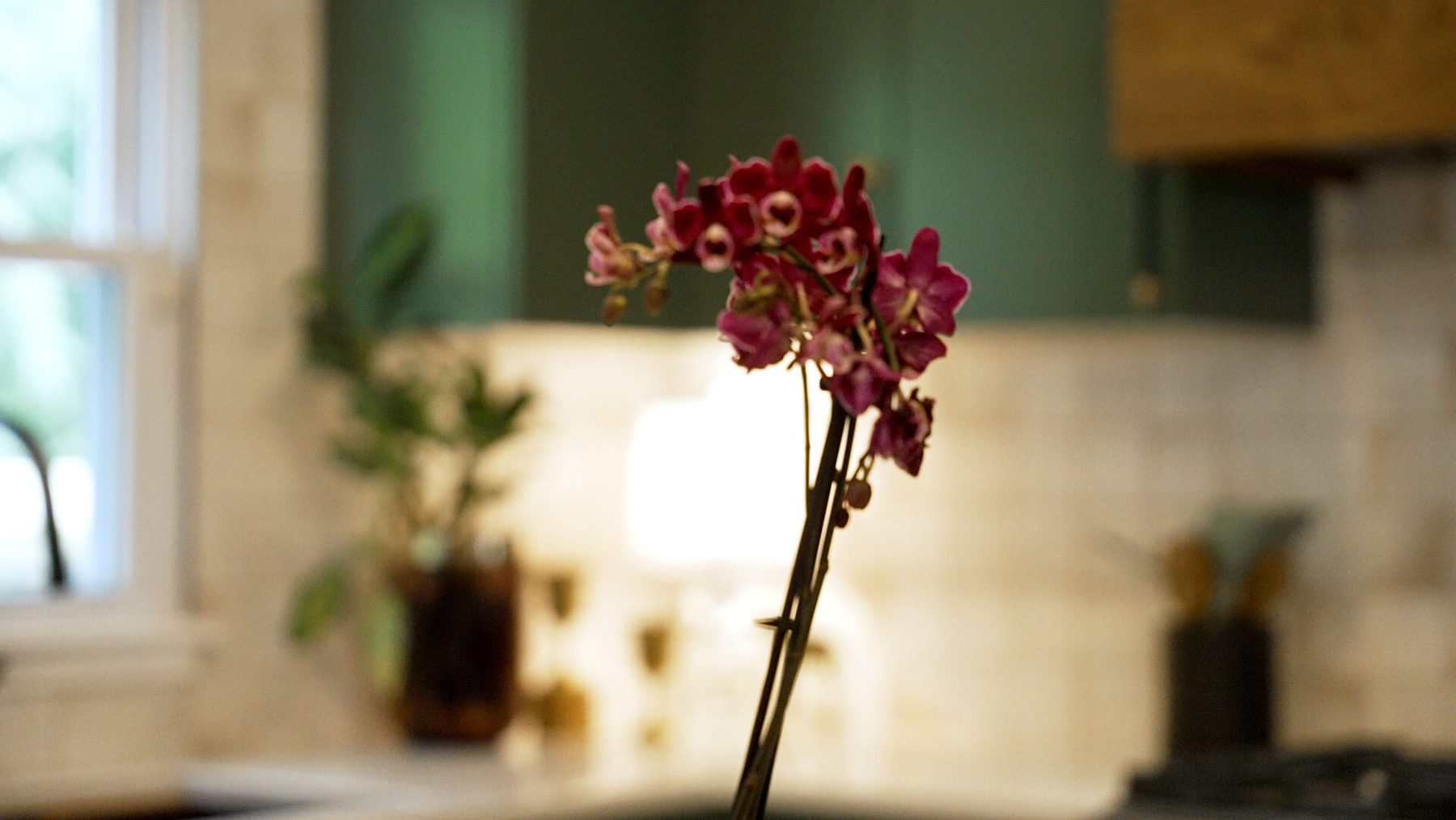 An orchid in soft focus against sage green cabinetry and cream tile
